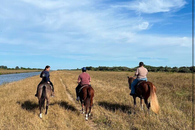 1 hour of ATV + 1 hour horse ride-- free videos and pictures - Meeting Point and Transfers: Where People Get Stuck (and How You Can Avoid It)