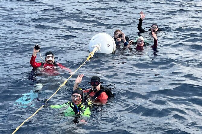 2 Dive Scuba Diving Reef Excursion to Key Largo Marine Sanctuary - The guide factor: what “Divemaster or Instructor” means for you