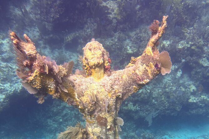 2 Dive Scuba Diving Reef Excursion to Key Largo Marine Sanctuary - Price and value: why $99 often makes sense for a two-site morning