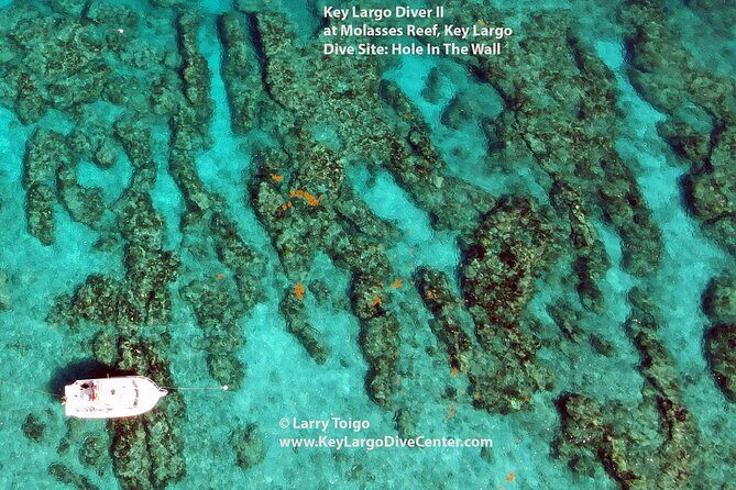 2 Dive Scuba Diving Reef Excursion to Key Largo Marine Sanctuary - Who this is best for—and when you should ask questions first