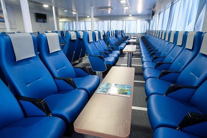 Bimini Day Cruise from Fort Lauderdale with Round-Trip Miami Transfer - Who should book this Bimini day cruise (and who should think twice)