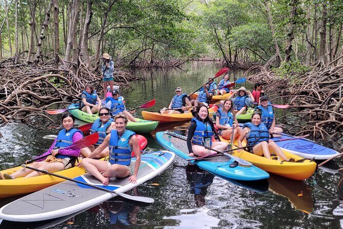 Biscayne Bay Island and Nature Exploration - Sandspur Island and the Kayak Route to Raccoon Island