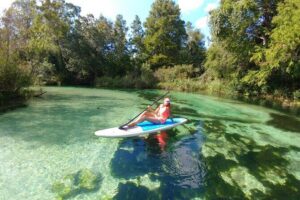 Biscayne Bay Island and Nature Exploration - Biscayne Bay by Boat: Bird Island and the Billion Bunker Coastline