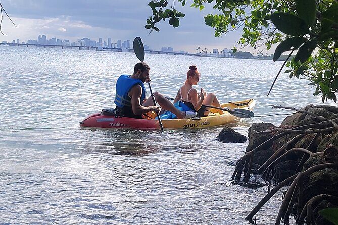 Biscayne Bay Island and Nature Exploration - Wildlife Spotting Without the Stress: How to Watch Smart