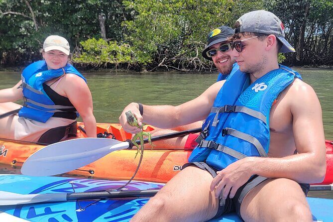 Biscayne Bay Island and Nature Exploration - Timing and Pacing: What a 4-Hour Water Afternoon Feels Like