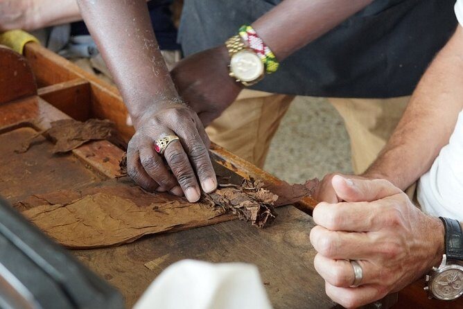 Cigar Factory Tour in Little Havana, Miami - Key Takeaways Before You Go