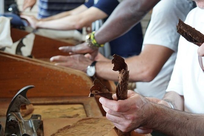 Cigar Factory Tour in Little Havana, Miami - Should You Book Casa Habano’s Cigar Factory Tour?