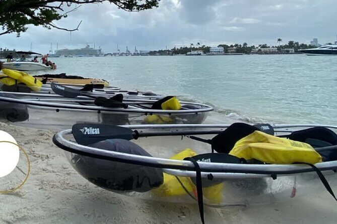 Clear Kayak Tour in South Miami Beach and Biscayne Bay - Quick hits before you book