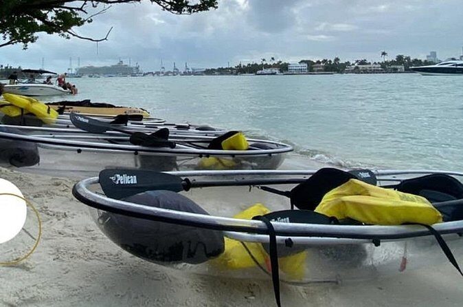 Clear Kayak Tour in South Miami Beach and Biscayne Bay - Who this kayak tour fits best