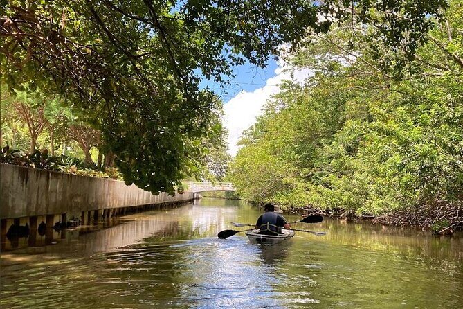 Clear Kayak Tour in South Miami Beach and Biscayne Bay - Collins Waterfront views: mid-century hotels and bridges overhead