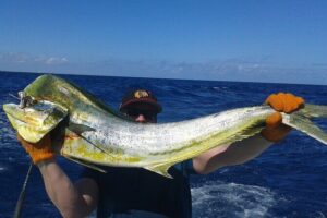 Deep sea fishing charters in Fort Lauderdale aboard 52' Hatteras - What you’re actually targeting in the Atlantic off Fort Lauderdale
