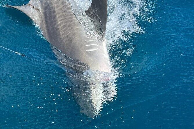 Deep sea fishing charters in Fort Lauderdale aboard 52' Hatteras - The crew: Capt. Dave Zsak, Capt. Tom, and first mate Kyle