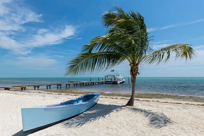 Discover Key West Full Day Adventure Departing from Miami - Miami Pickups on Collins Avenue and Bayside Marketplace