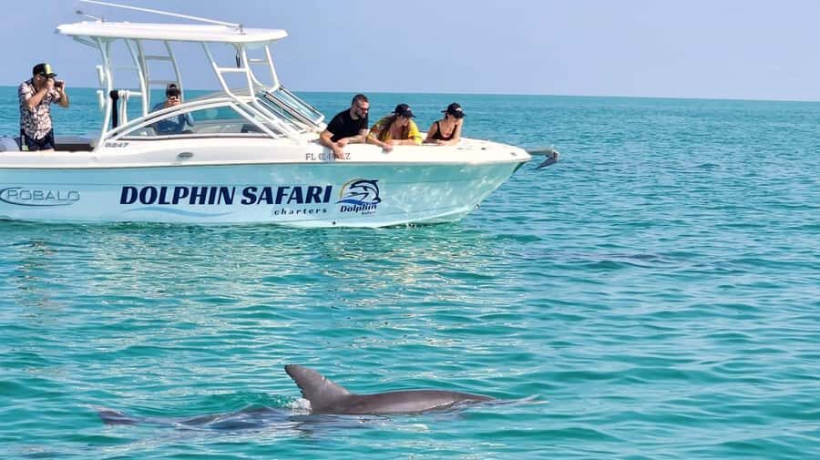 Dolphin & Snorkeling Key West - How the 3 Hours in Key West Actually Play Out