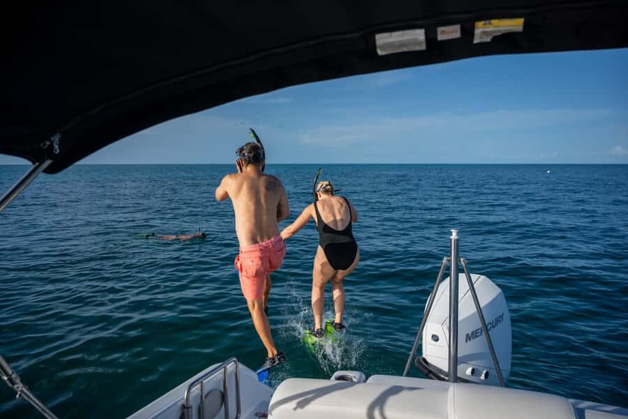 Dolphin & Snorkeling Key West - So, Should You Book Dolphin & Snorkeling Key West?