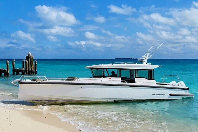 Dry Tortugas National Park Day Trip by Luxury Private Boat - Stop 2: Garden Key for a quick orientation