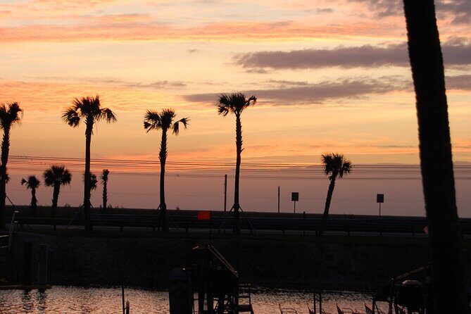 Everglades at Night with Airboat and Alligators Tour From Miami - Who This Tour Fits Best (and Who Should Skip It)