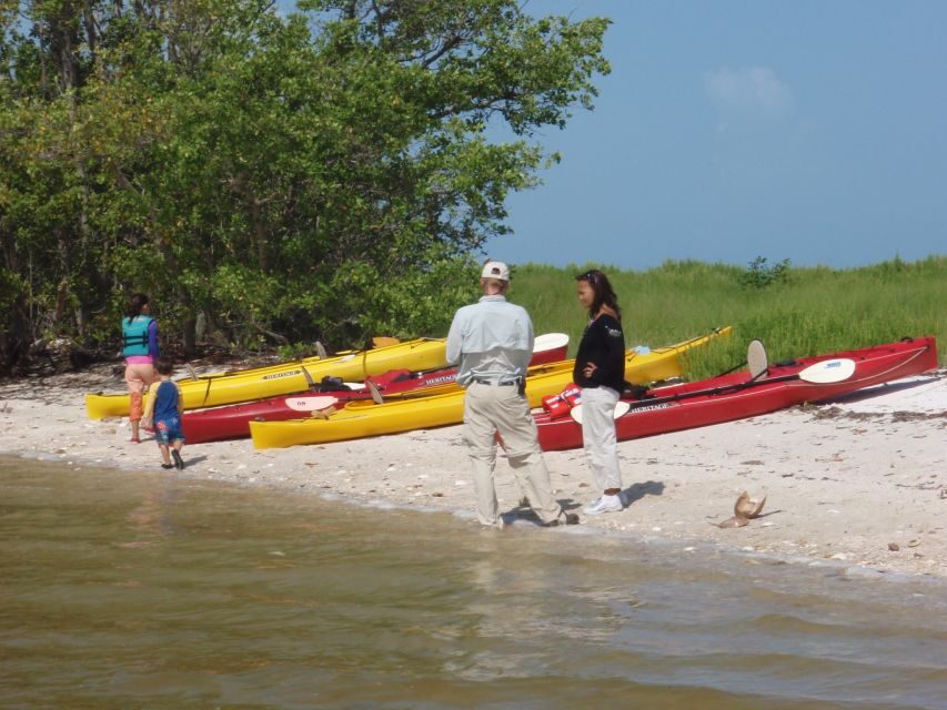 Everglades: Boat Assisted Kayak Eco Tour - Kayaking Segments: Close-Up Wildlife Without Needing a Pro Paddle Skill