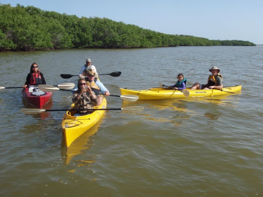 Everglades: Boat Assisted Kayak Eco Tour - Price and Value: What $172 Buys You Here