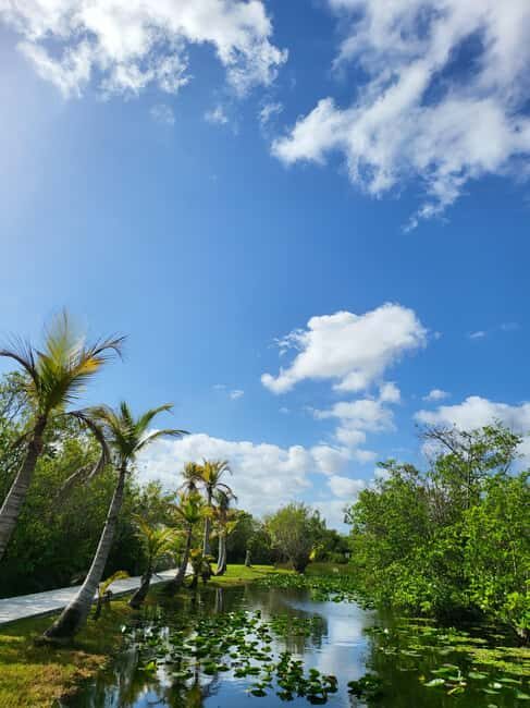 Everglades: boat tour with transportation& entrance included - Key things to know