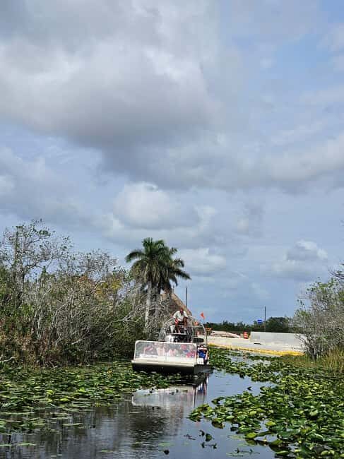 Everglades: boat tour with transportation& entrance included - The 20-minute guide debrief: ecosystem changes and invasive species