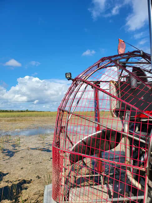 Everglades: boat tour with transportation& entrance included - Price and value at $169 per person