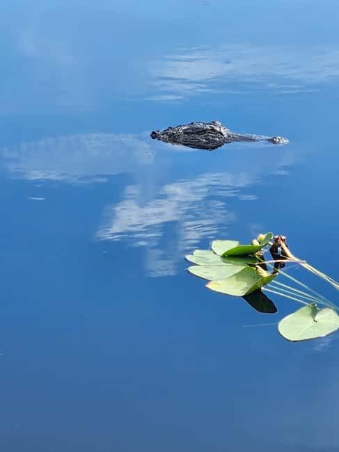 Everglades Eco Airboat Small-Group Tour & 2 Private Islands - Luxury Pickup That Sets the Tone