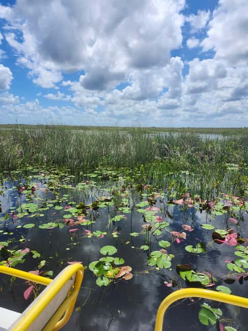 Everglades Eco Airboat Small-Group Tour & 2 Private Islands - Two Miccosukee Private Islands: Culture, Wildlife, and a Short Walk