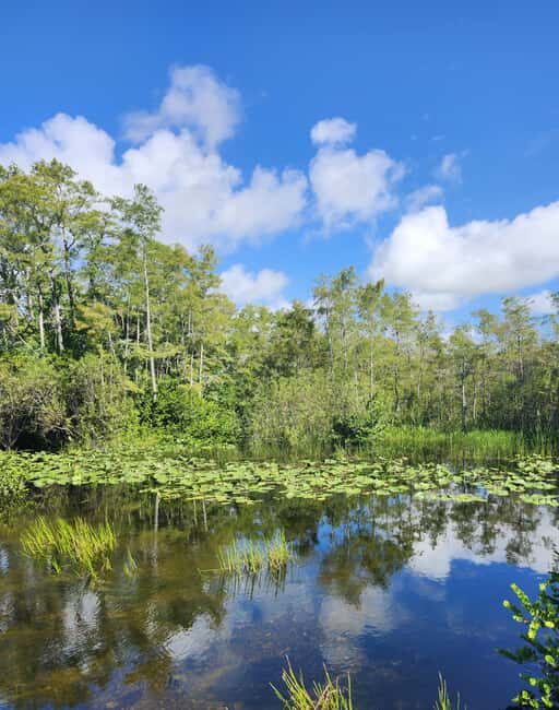 Everglades Eco Airboat Small-Group Tour & 2 Private Islands - The Small-Group Airboat Ride (And Why It Feels Different)