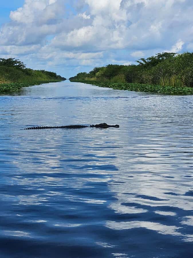 Everglades Small Group on Airboat with Transportation - Sawgrass Recreation Park first: why the 2-hour guided stop pays off