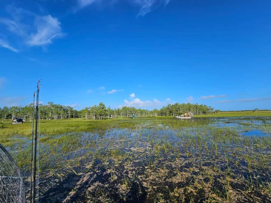 Everglades Small Group on Airboat with Transportation - Transport comfort and timing: what the 4–5 hour day really means