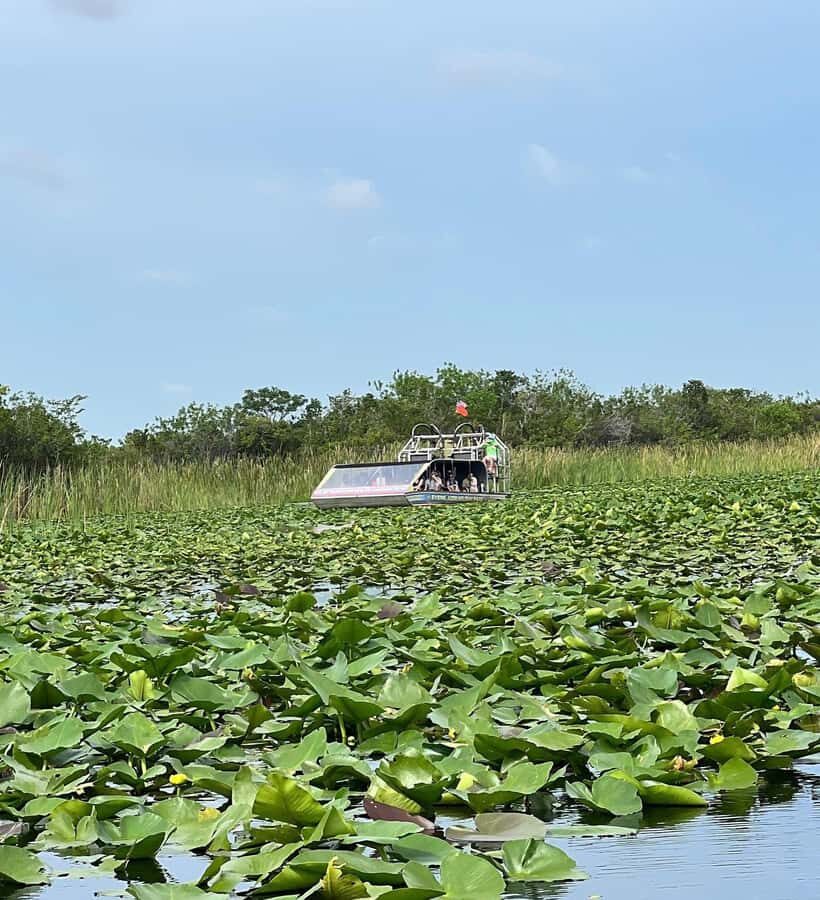 Everglades Small Group on Airboat with Transportation - Who should book this Everglades small-group airboat tour