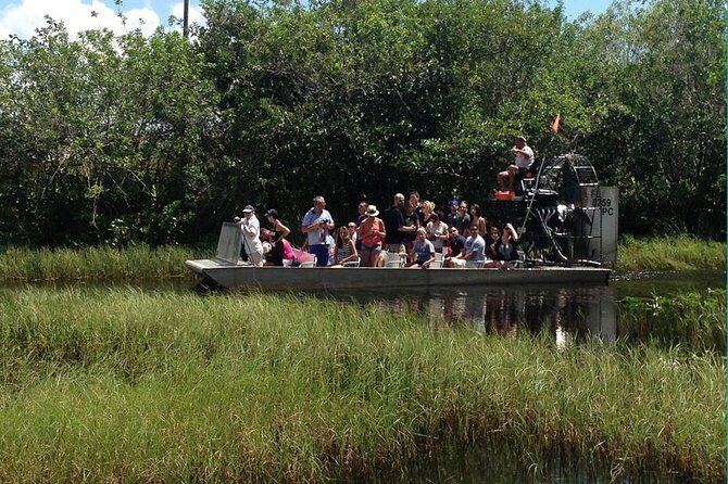 Everglades Small-Group Tour from Miami with Transportation - The rescued alligator lesson and the short show