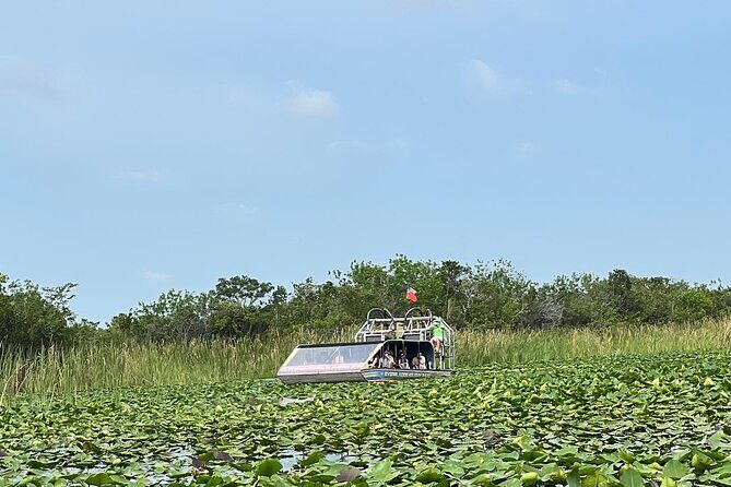 Everglades Small-Group Tour from Miami with Transportation - Timing reality: how much is driving vs. doing