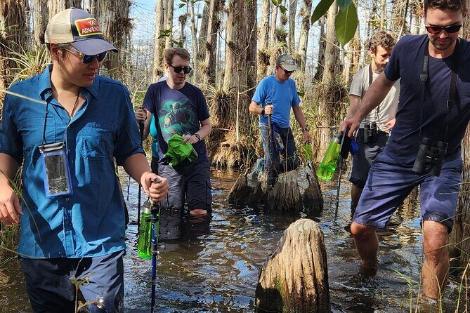 Everglades Tour w/ Biologist Led WET walk + 2 Boat Trips + Lunch! - Miccosukee Indian Village: airboat time and tree-island villages