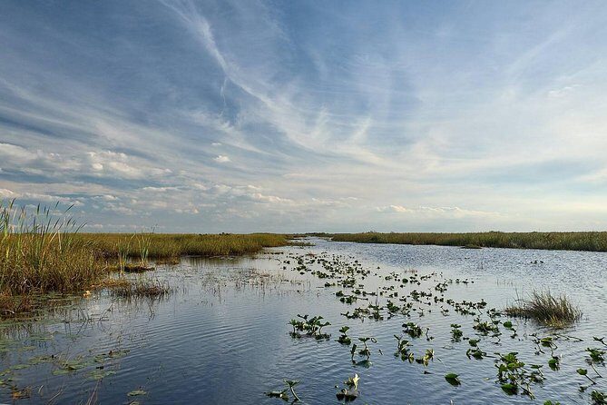 Everglades Tour w/ Biologist Led WET walk + 2 Boat Trips + Lunch! - The River of Grass + Loop Road: a gator-spotting strategy