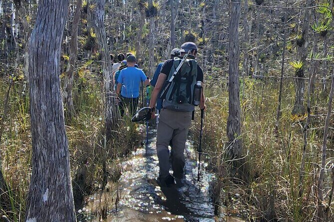 Everglades Tour w/ Biologist Led WET walk + 2 Boat Trips + Lunch! - Oasis Visitor Center and Ochopee Post Office: quick hits with value