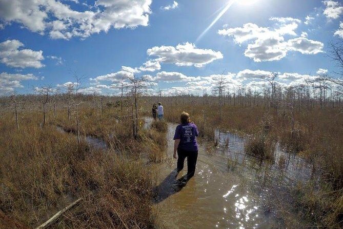 Everglades Tour w/ Biologist Led WET walk + 2 Boat Trips + Lunch! - Lunch in Everglades City: fuel with a side of local texture