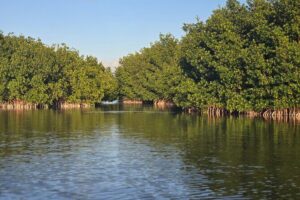 Florida Keys Kayak And Paddleboard Rentals - The 2-Hour Paddling Plan: How to Think About Your Time