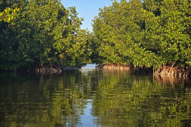 Florida Keys Kayak And Paddleboard Rentals - Getting Comfortable: Practical Tips Before You Paddle