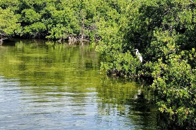 Florida Keys Kayak And Paddleboard Rentals - Weather, Wind, and Tide: When Nature Changes the Plan