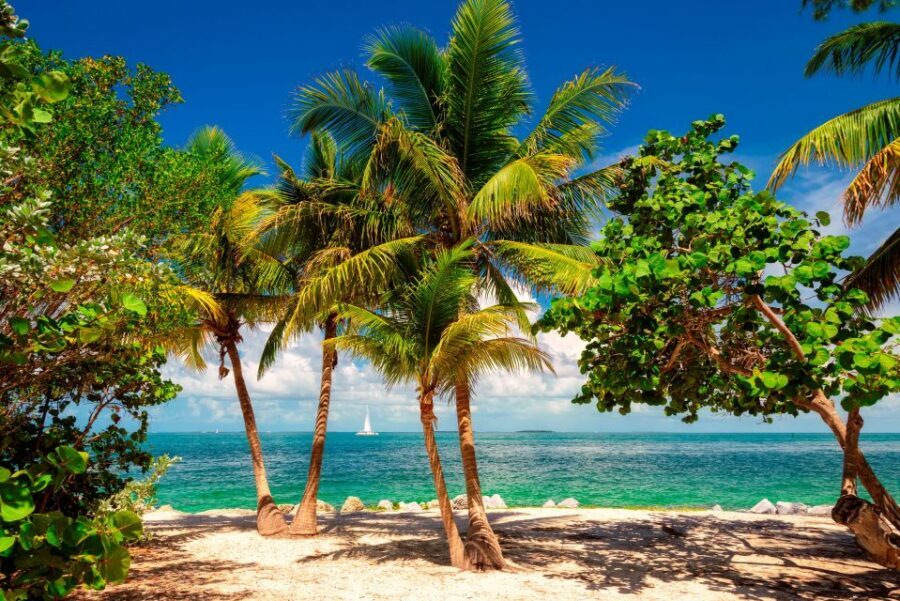 Fort Lauderdale: Key West Day Trip with Optional Activities - Fort Lauderdale Meet-Up, Miami Drop-Off, and the Real Timing