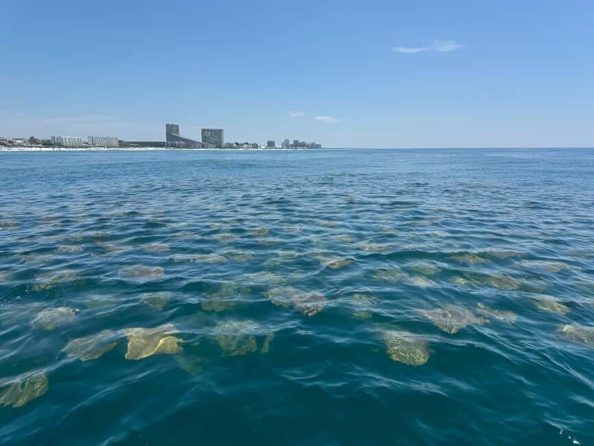 Fort Lauderdale: Parasailing on Fort Lauderdale Beach - Cruising from Fort Lauderdale Beach to the best launch spot