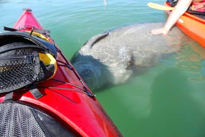 Fort Lauderdale’s Tropical Kayak Tour and Island Adventure - Key things to know before you go