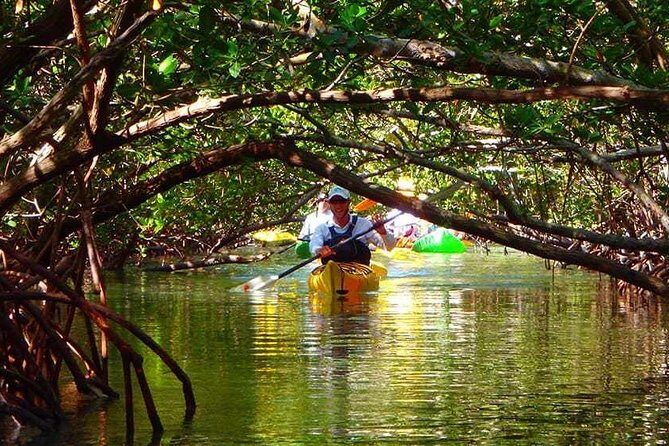 Fort Lauderdale’s Tropical Kayak Tour and Island Adventure - Entering the calm side of Fort Lauderdale canals