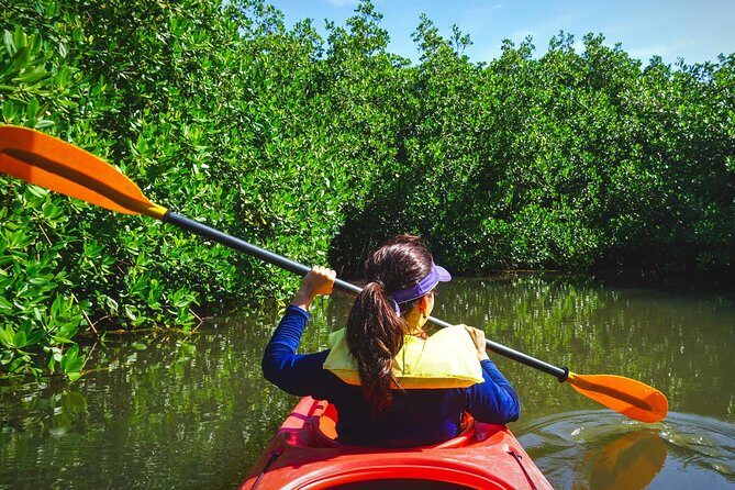 Fort Lauderdale’s Tropical Kayak Tour and Island Adventure - Wilton Manors canal run: mangroves, quiet passages, and guide talk