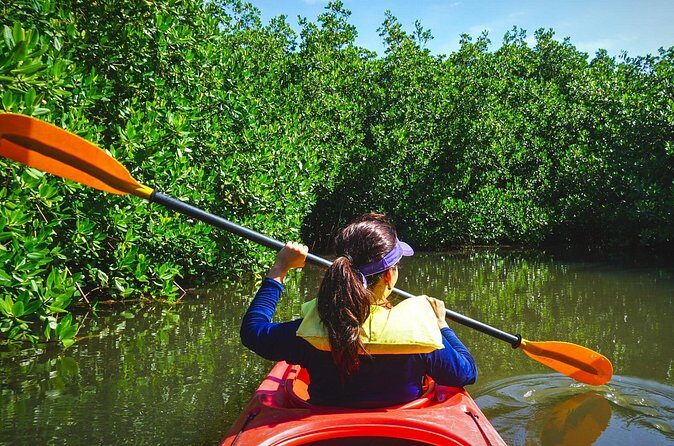Fort Lauderdale’s Tropical Kayak Tour and Island Adventure - Price and value: $99 for about two hours