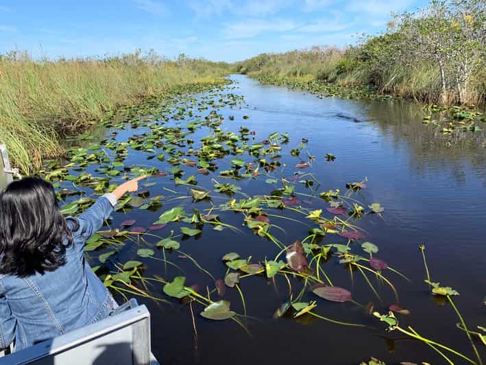 From Miami Beach: Everglades Airboat & Gator Spotting Tour - The Big Win: Airboat Speed Plus Ranger-Level Wildlife Talk