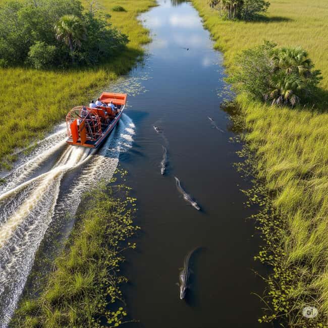 From Miami Beach: Everglades Airboat & Gator Spotting Tour - The Alligator Experience: Hands-On Learning, Rescues, and a Group Photo Moment