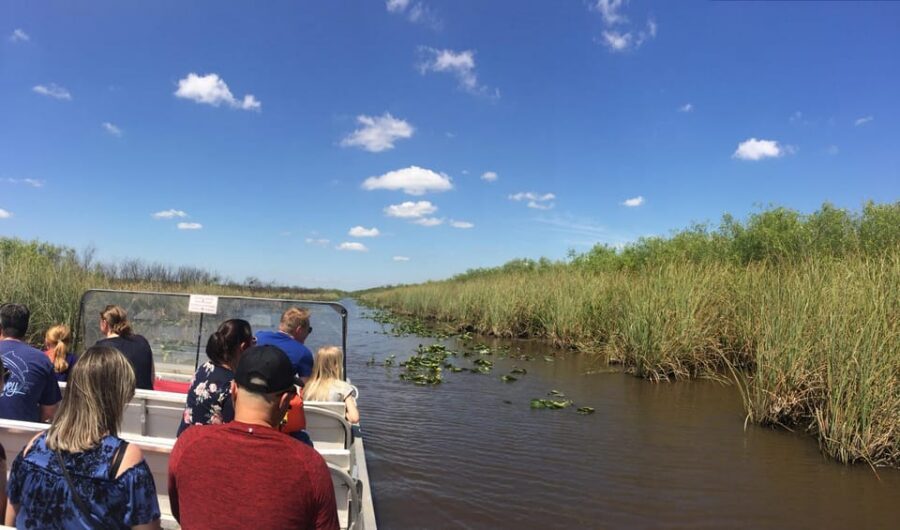 From Miami Beach: Everglades Airboat & Gator Spotting Tour - The Dock Reality: Waiting Times During Peak Florida Season